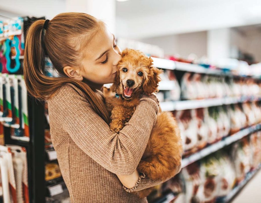 Pet Business Insurance
