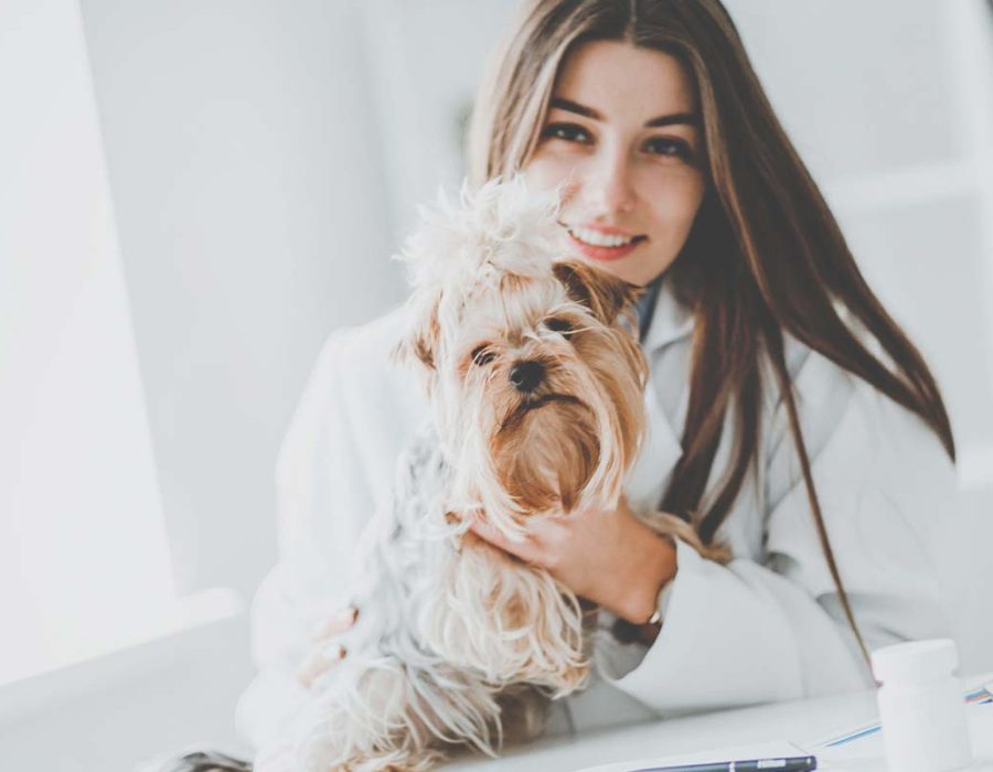 Veterinary Office Insurance